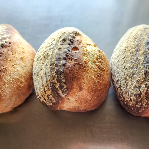 Sourdough Hearth Breads