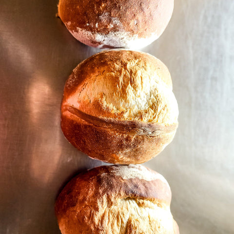 Yeasted Breads