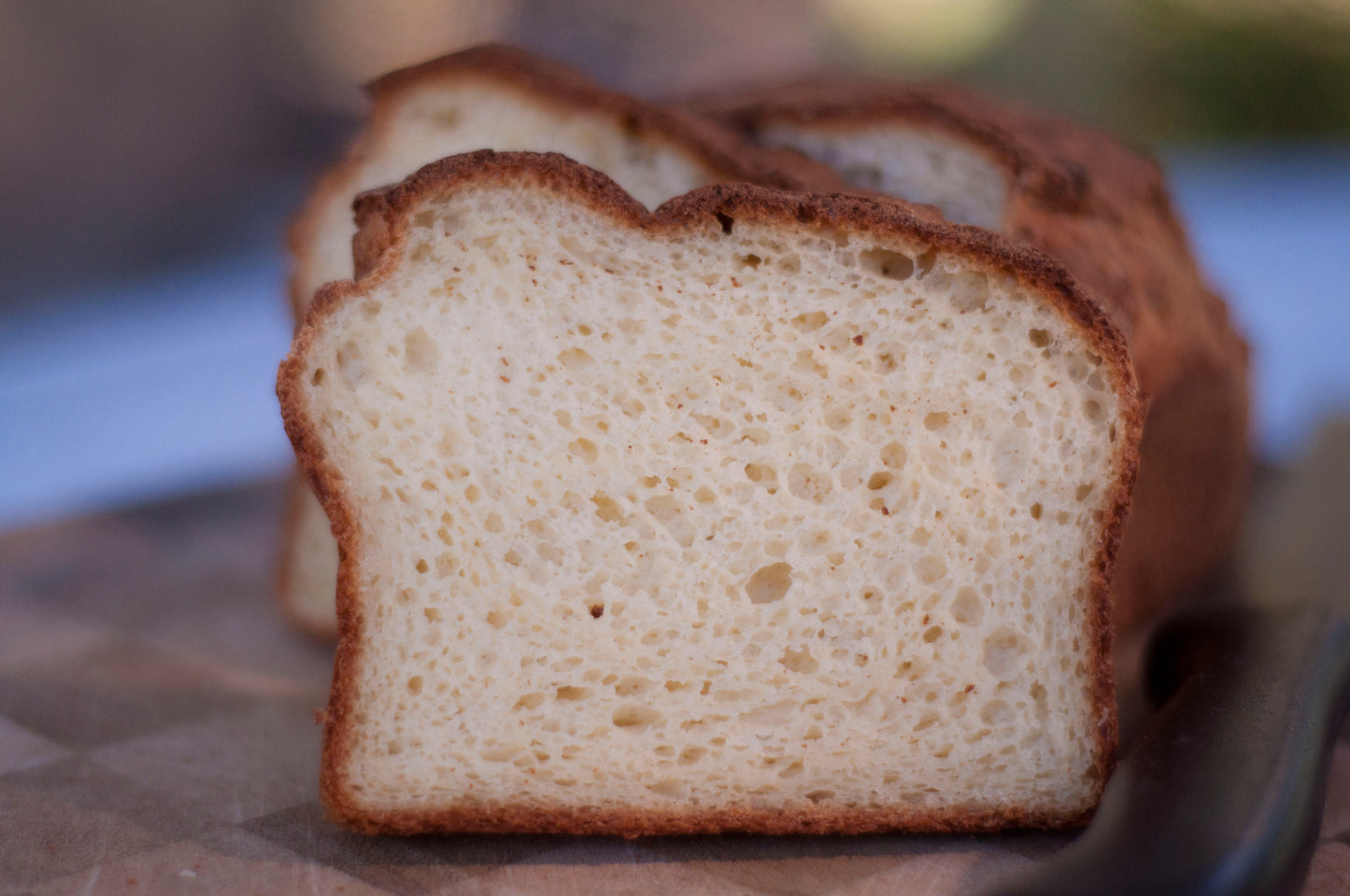 Gluten Free Pan Bread